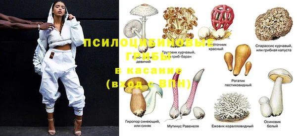 дмт Армянск