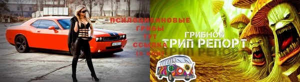 бутират Арсеньев