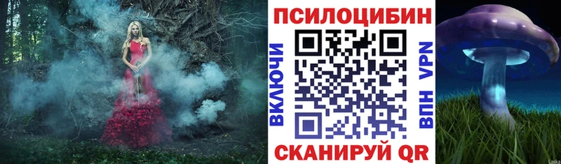 Галлюциногенные грибы Psilocybine cubensis  где продают наркотики  Саров 